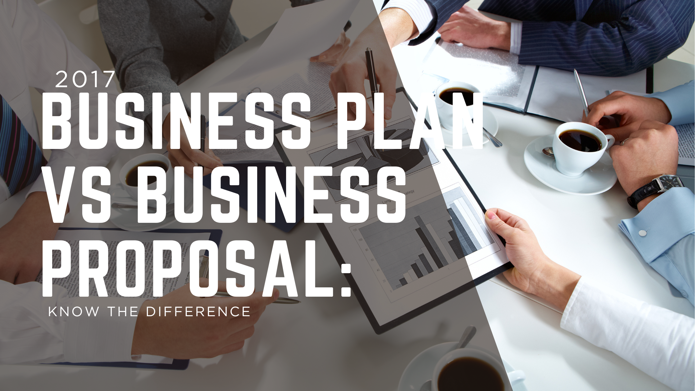 Business Plan vs Profile